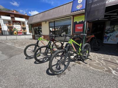 Bike Rentals and Shops