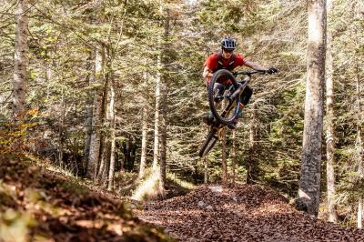 dolomiti bike park